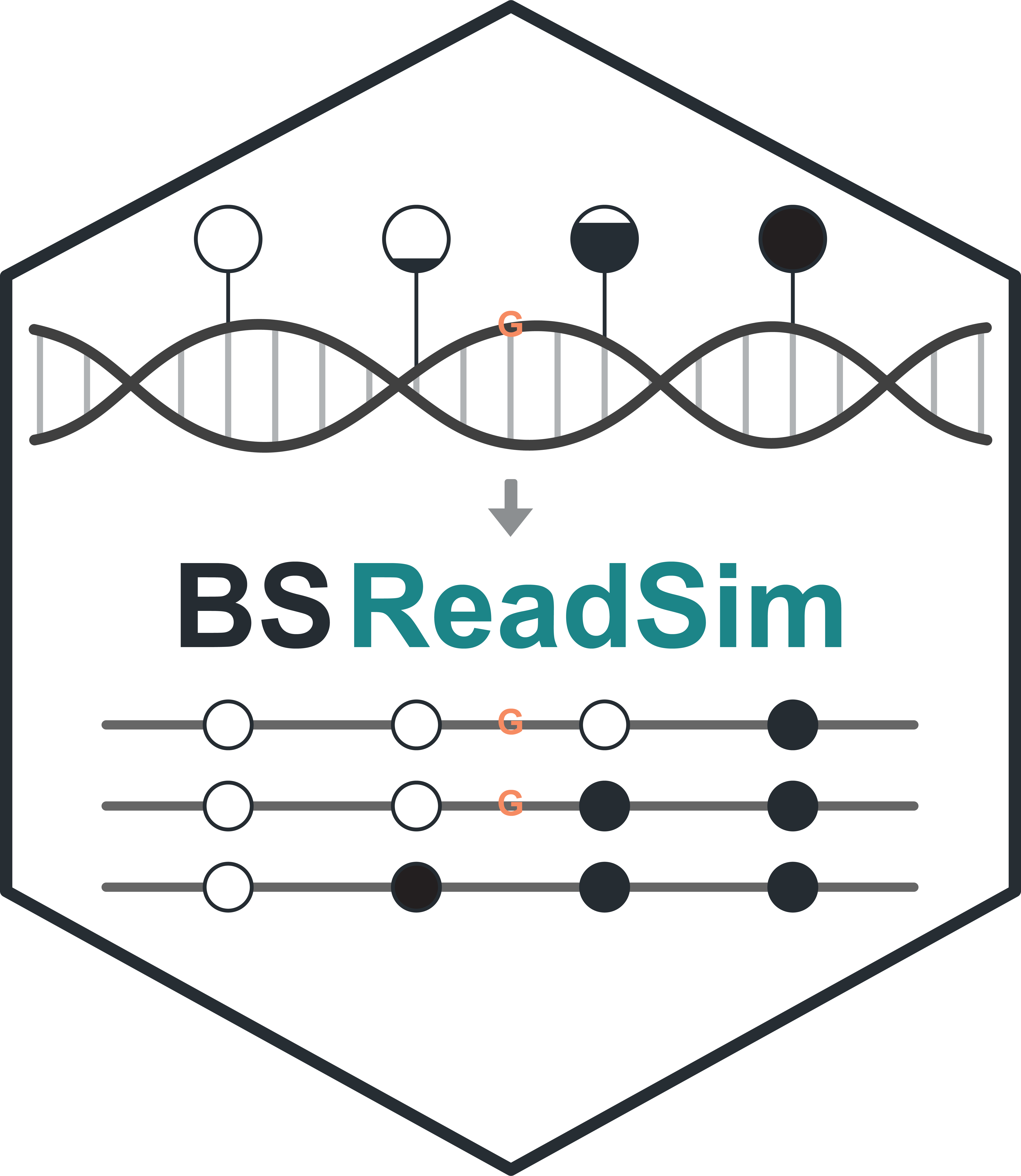 BSReadSim logo
