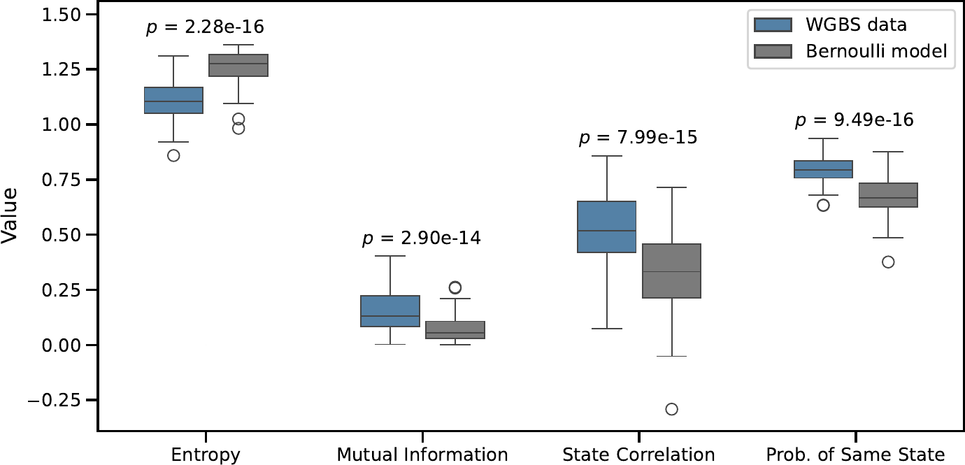 Box plots comparing dependency statistics in real WGBS data and independent Bernoulli samples