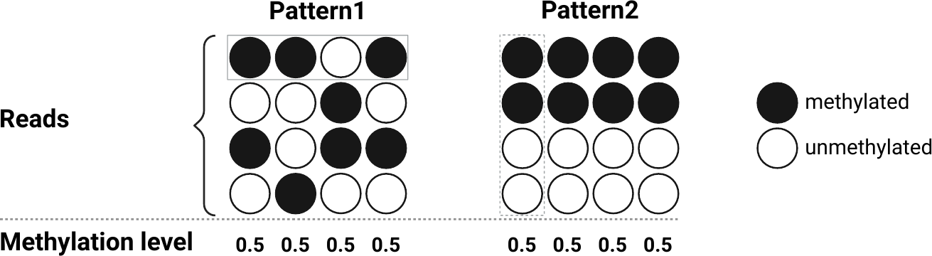 Two distinct read-level methylation patterns with identical methylation levels at every site