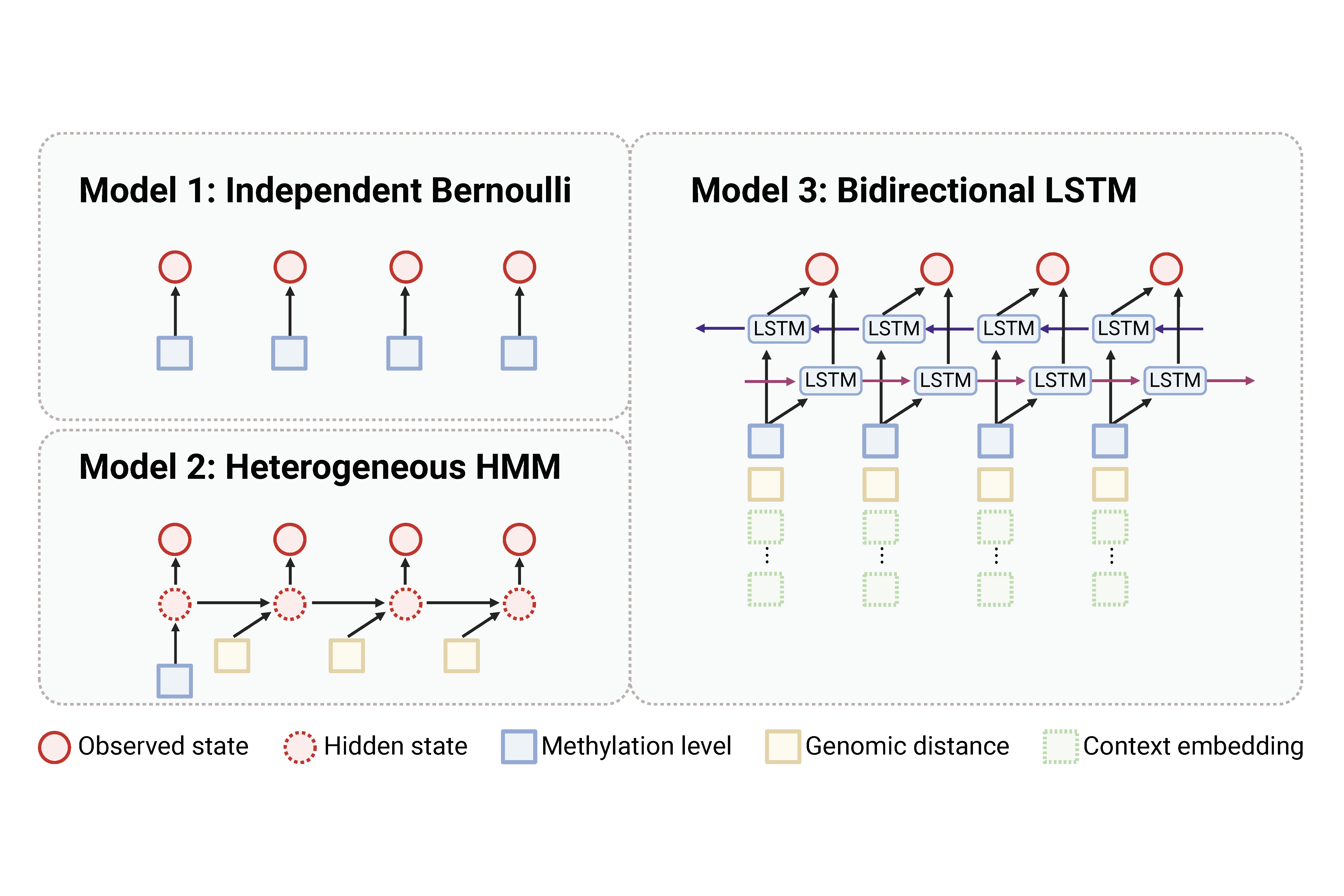 Diagrams of independent Bernoulli, heterogeneous HMM, and bidirectional LSTM methylation models
